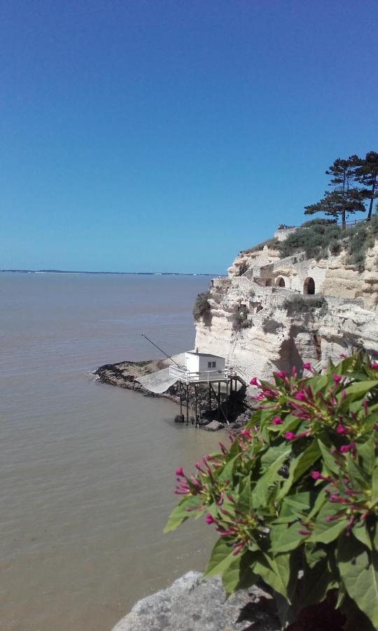 Gite Le Cozillon Cozes 外观 照片